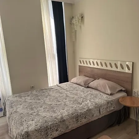 Flat In The Center Antalya